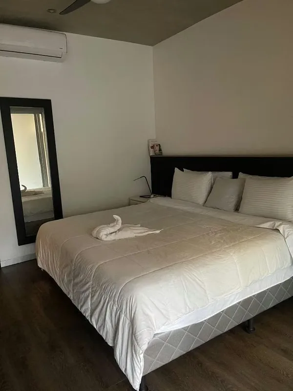 ¡En venta o alquiler! Apartamento en Arbórea Flats, Santa Ana, photo 4