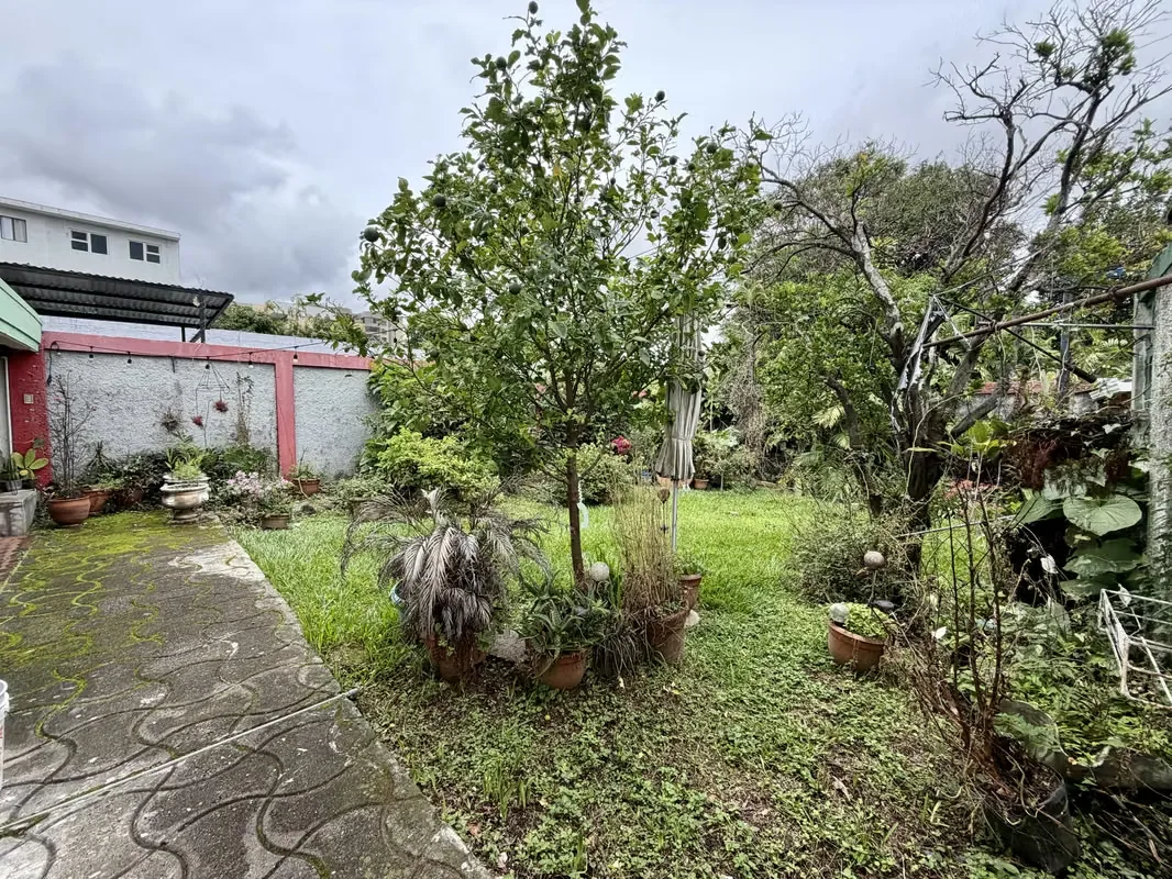 MIXED-USE FOR SALE. PROPERTY TO BE DEMOLISHED. SAN PEDRO / LOS YOSES, photo 4