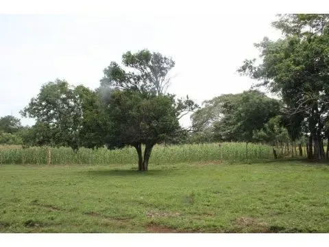 PROPERTY FOR SALE IN ESPARZA