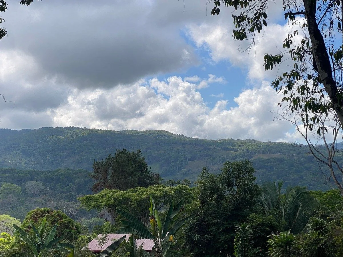 Platanillo 1.5 Acre Jungle Lot for Sale