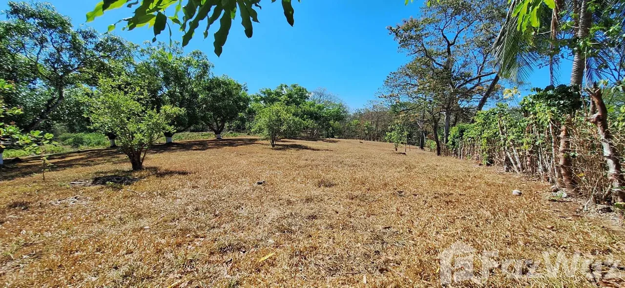 VENTA Country pitch for fifth in Mastate de Orotina, Alajuela