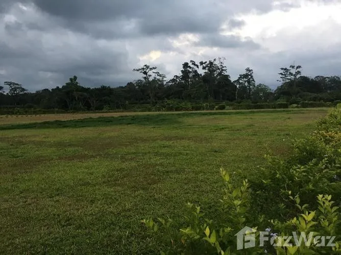 Land for Sale in Pococi, Limon for $41,000
