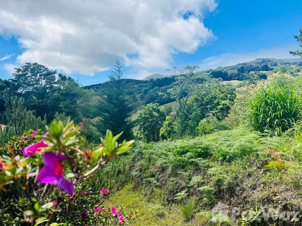 Land for Sale in Barva, Heredia for $230,000