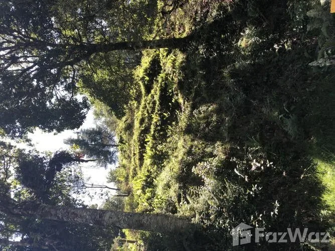 Land for Sale in El Guarco, Cartago for $31,492