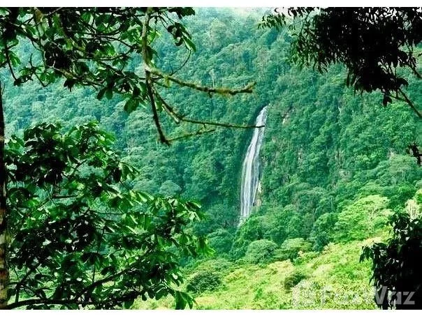 Land for Sale in Puntarenas, Puntarenas for $220,000