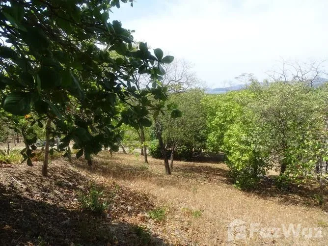 Land for Sale in Santa Cruz, Guanacaste for $38,000