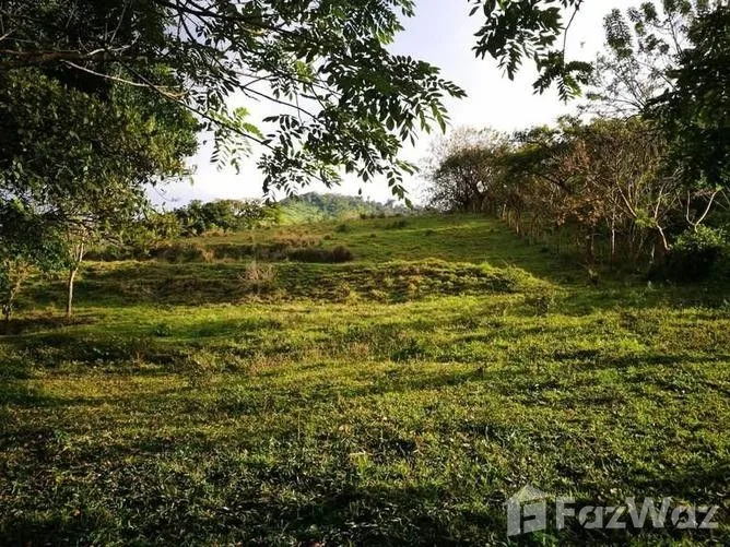 Land for Sale in Tilaran, Guanacaste for $150,000
