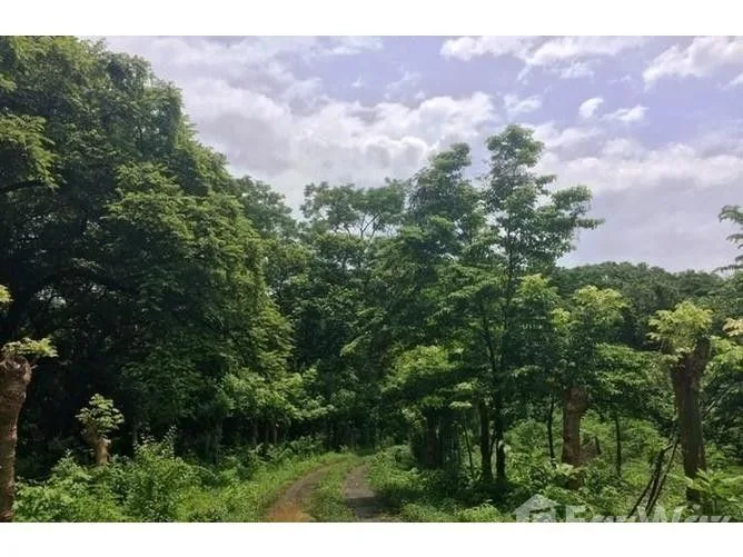Land for Sale in Tilaran, Guanacaste for $51,000