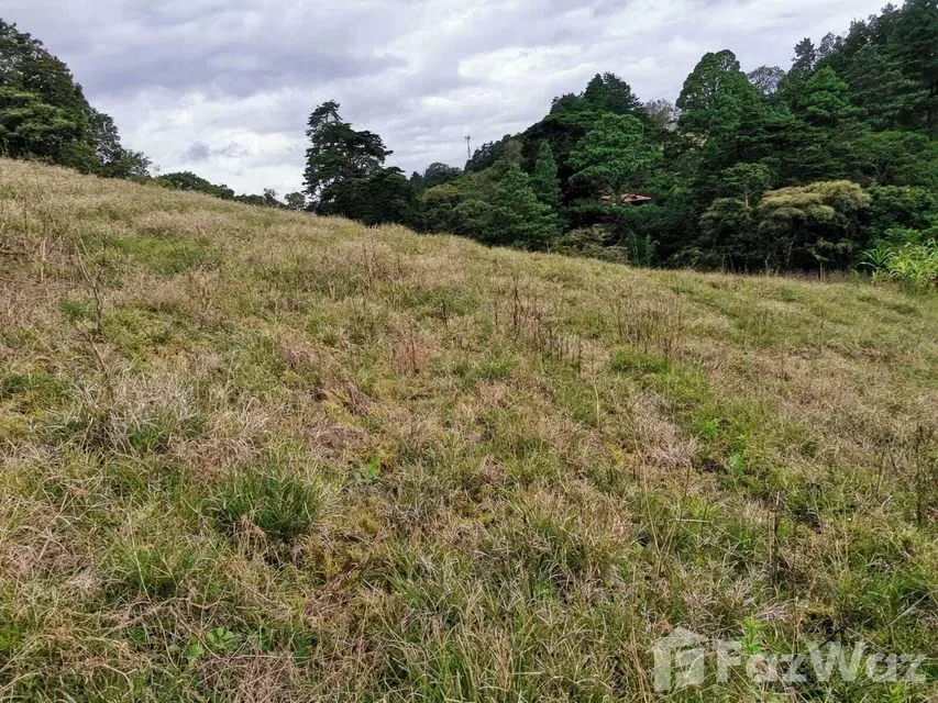 Land for Sale at Condominium For Sale in San José for $78,500 — photo 4