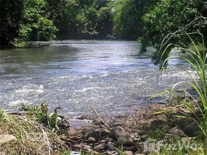 Land for Sale in Canas, Guanacaste for $250,000