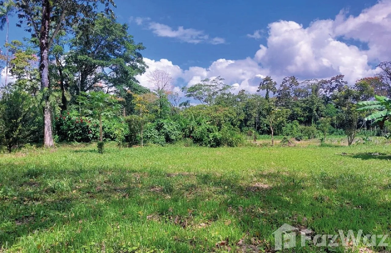 Land for Sale in Pococi, Limon for $70,400