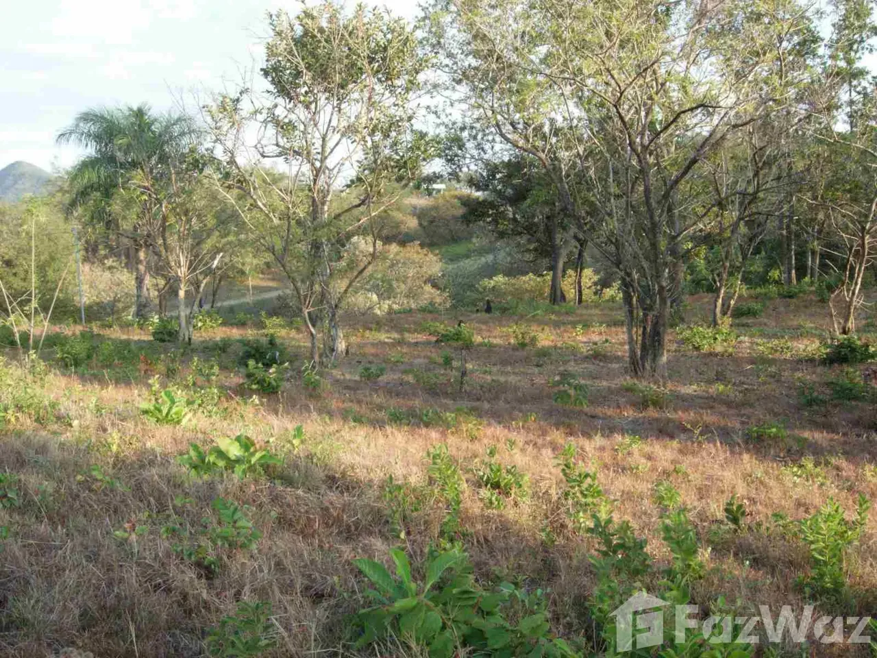 Land for Sale in Liberia, Guanacaste for $112,000