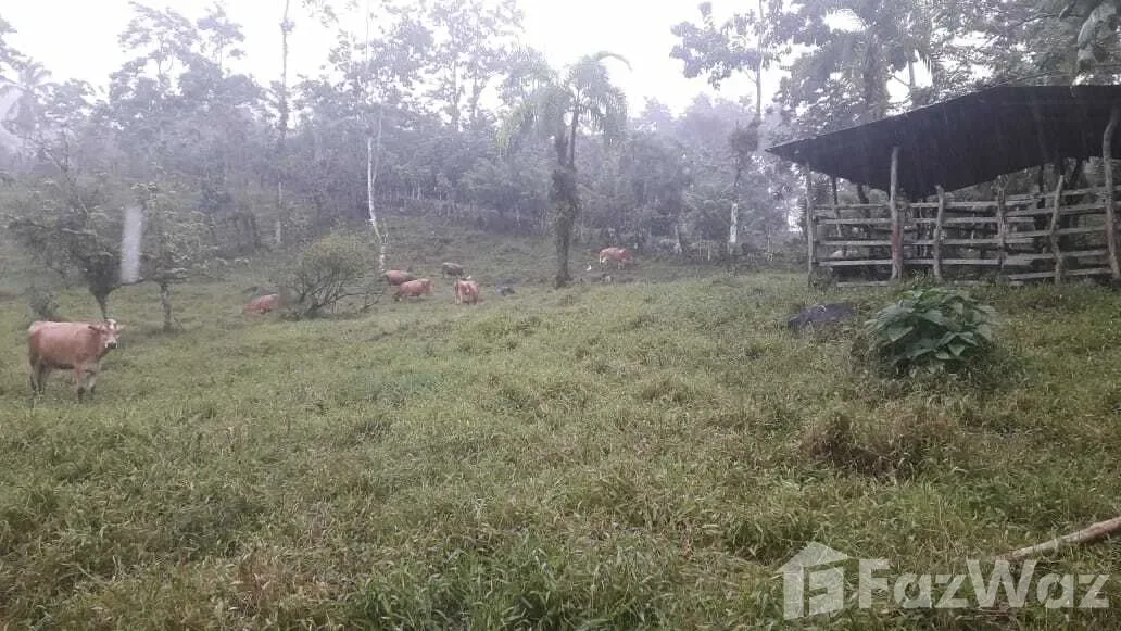 Land for Sale in Turrialba, Cartago for $198,000
