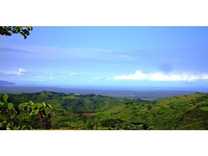 Land for Sale in Osa, Puntarenas for $159,000