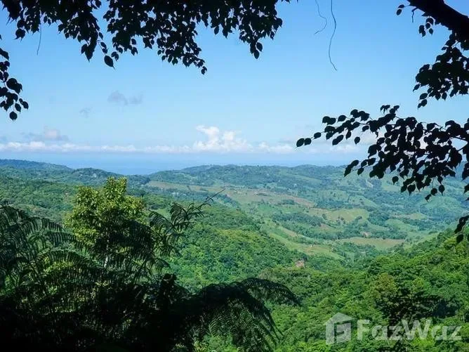 3 Bedroom House for Sale in Perez Zeledon, San Jose for $565,000