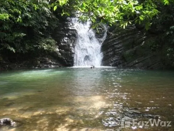 Land for Sale in Osa, Puntarenas for $49,900