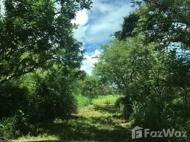 Land for Sale at Liberia for $3,730,000