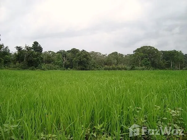 Land for Sale at Limón for $620,106