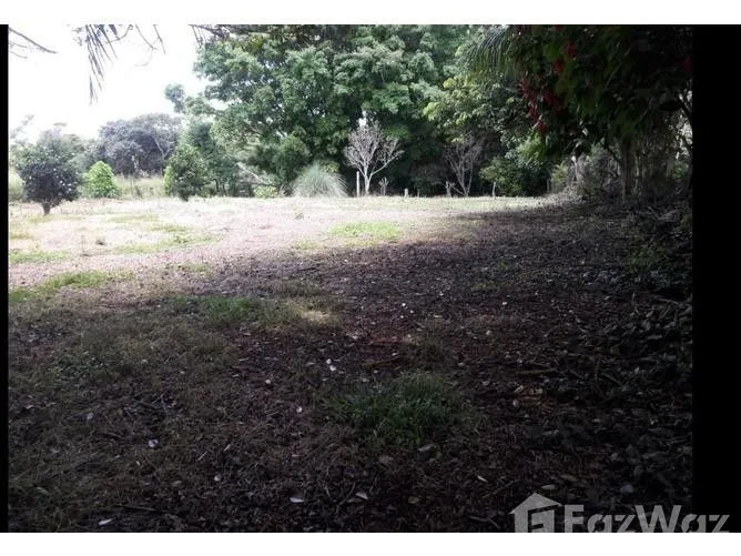 Land for Sale at Alajuela for $75,000