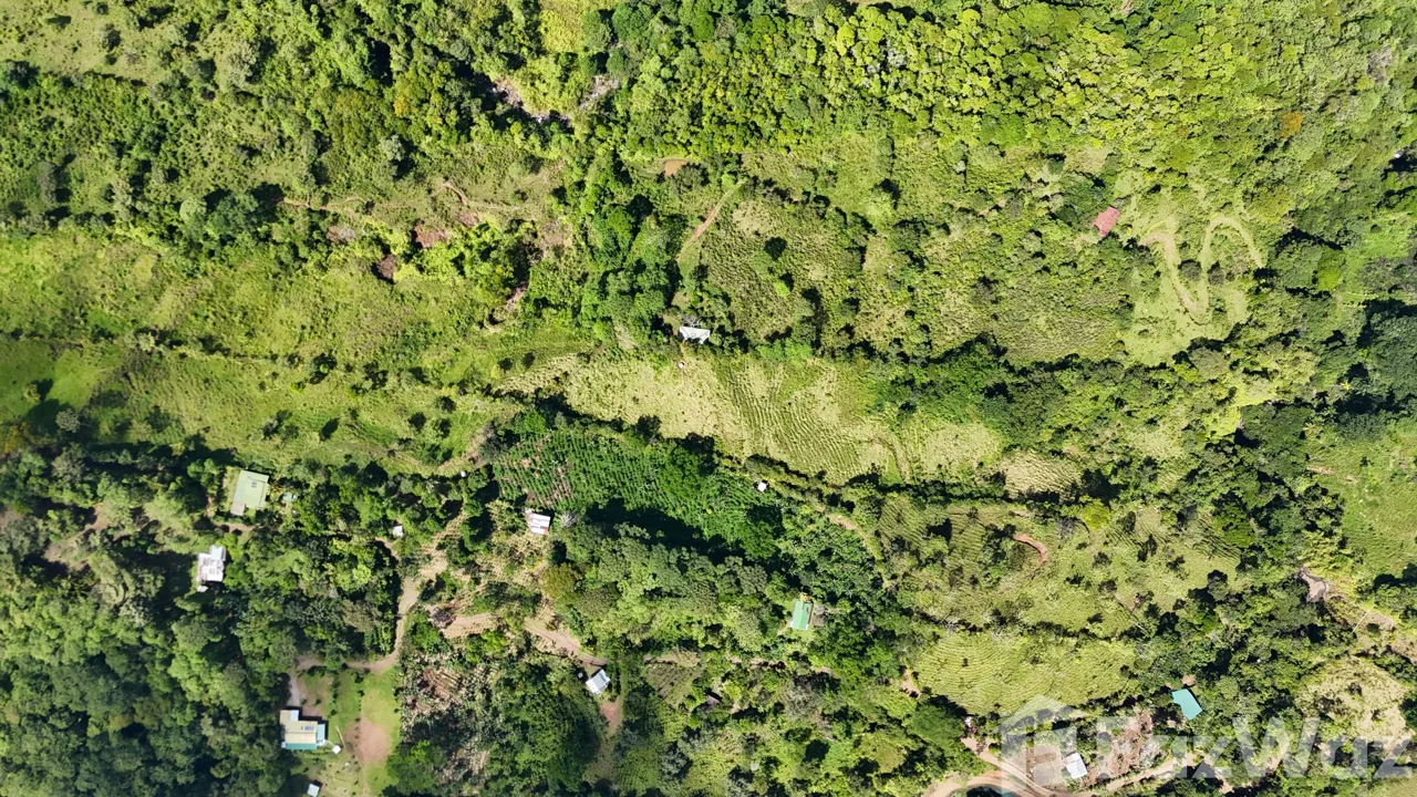 Land for Sale in Perez Zeledon, San Jose for $217,000