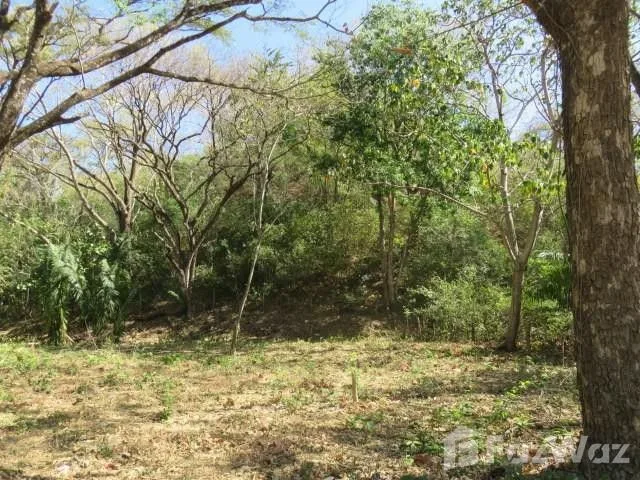 Land for Sale in Nicoya, Guanacaste for $120,000