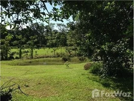 Land for Sale in Limon, Limon for $39,000