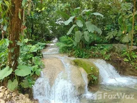 Land for Sale in Osa, Puntarenas for $499,000
