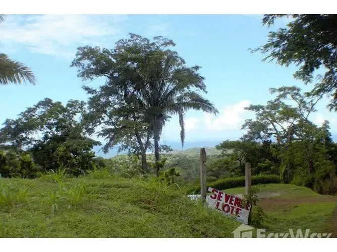 Land for Sale in Nicoya, Guanacaste for $139,000