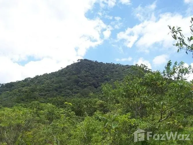 Land for Sale in Upala, Alajuela for $1,000,000