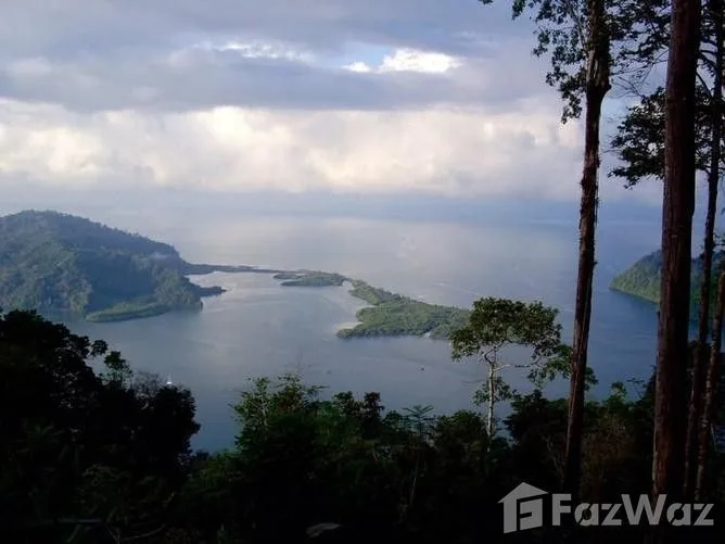Land for Sale in Golfito, Puntarenas for $175,000