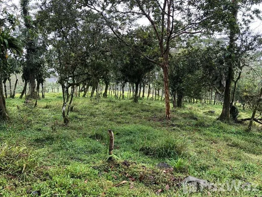 Land for Sale in Turrialba, Cartago for $95,700