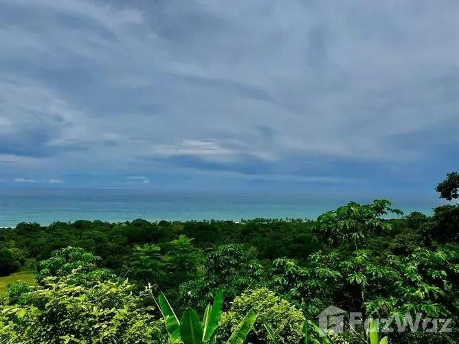 Land for Sale in Aguirre, Puntarenas for $347,000