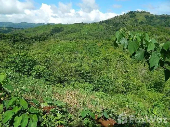 Land for Sale in Turrubares, San Jose for $117,527
