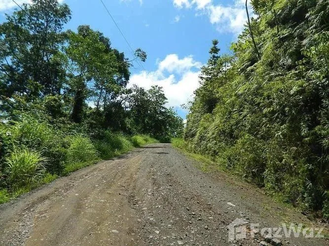 Land for Sale in Turrubares, San Jose for $117,527 — photo 2