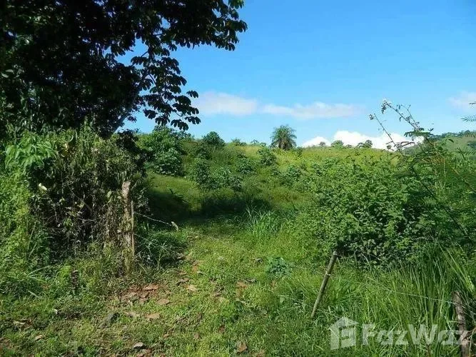Land for Sale in Turrubares, San Jose for $117,527 — photo 3
