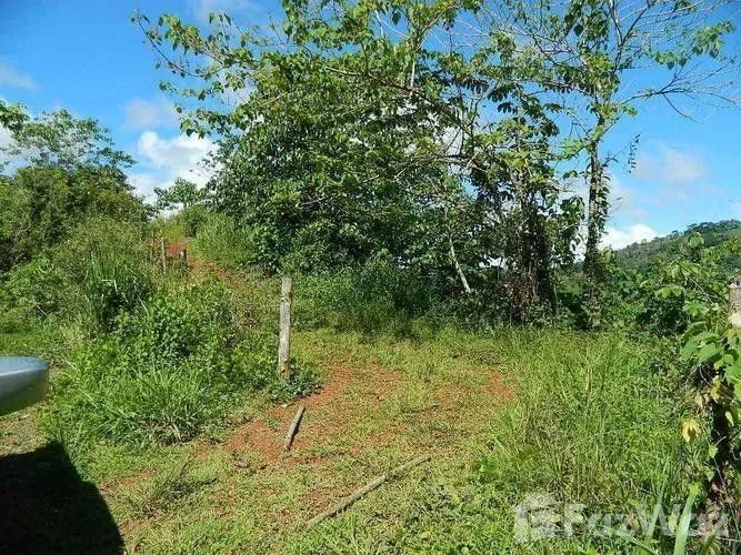 Land for Sale in Turrubares, San Jose for $117,527 — photo 4