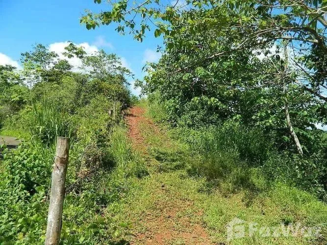Land for Sale in Turrubares, San Jose for $117,527 — photo 5