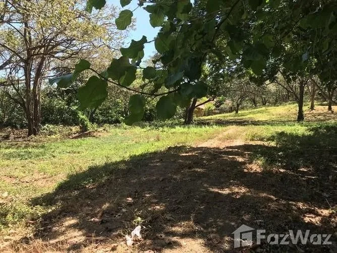 Land for Sale in Santa Cruz, Guanacaste for $85,000