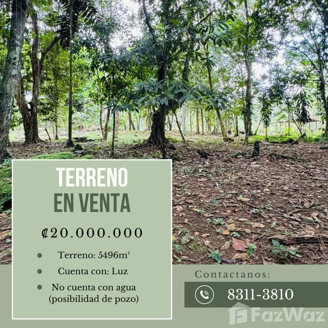 Land for Sale in Pococi, Limon for $44,000