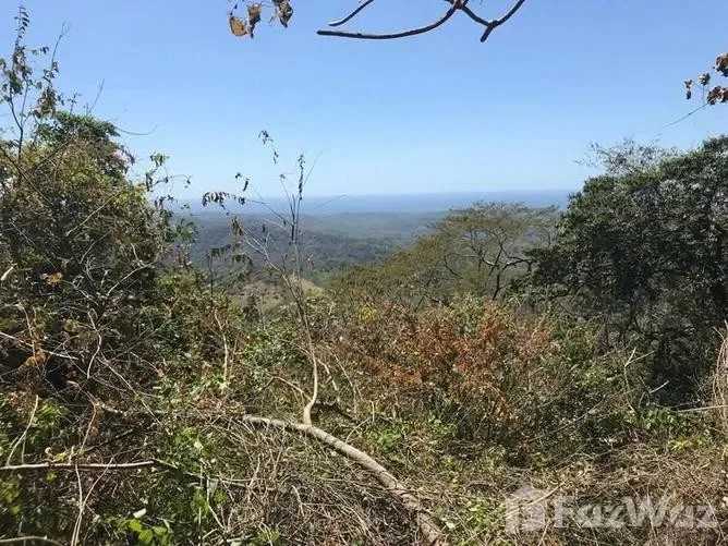 Land for Sale in Santa Cruz, Guanacaste for $159,000