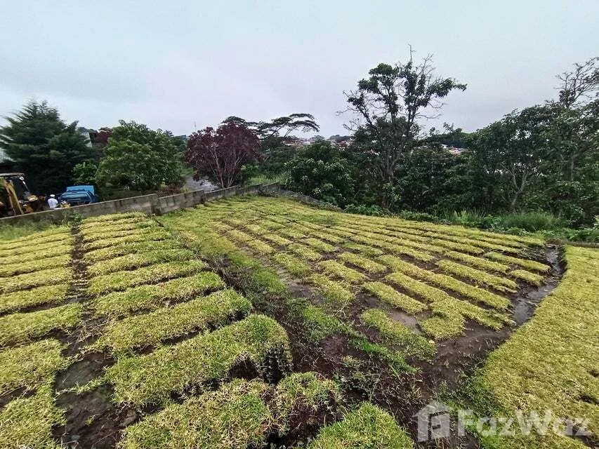 Land for Sale in San Pablo, Heredia for $153,400 — photo 2