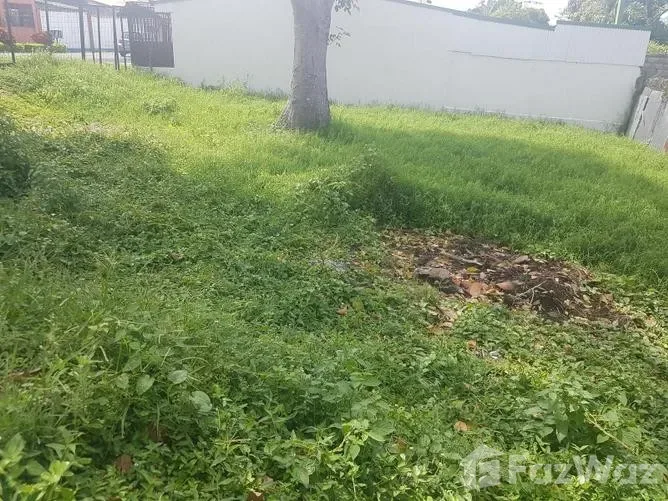 Land for Sale in San Pablo, Heredia for $80,000 — photo 5