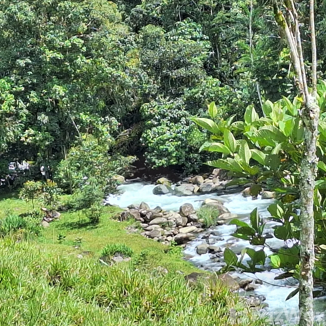 Land for Sale in Perez Zeledon, San Jose for $1,020,000