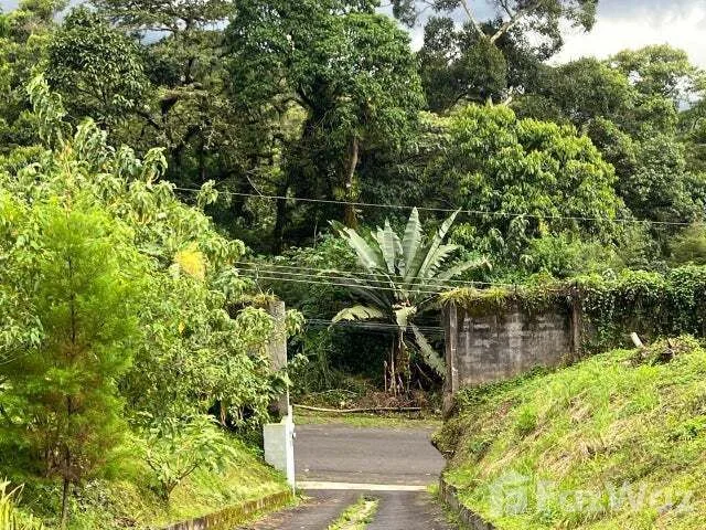 Land for Sale in La Union, Cartago for $240,000