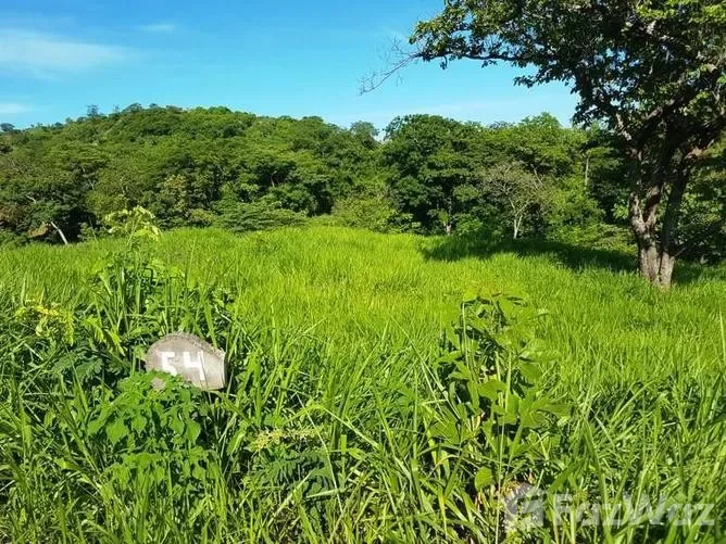 Land for Sale in Santa Cruz, Guanacaste for $99,000