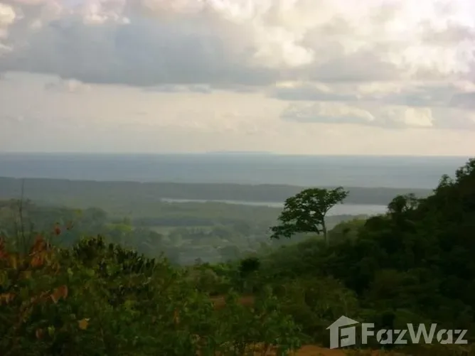 Land for Sale in Osa, Puntarenas for $65,000