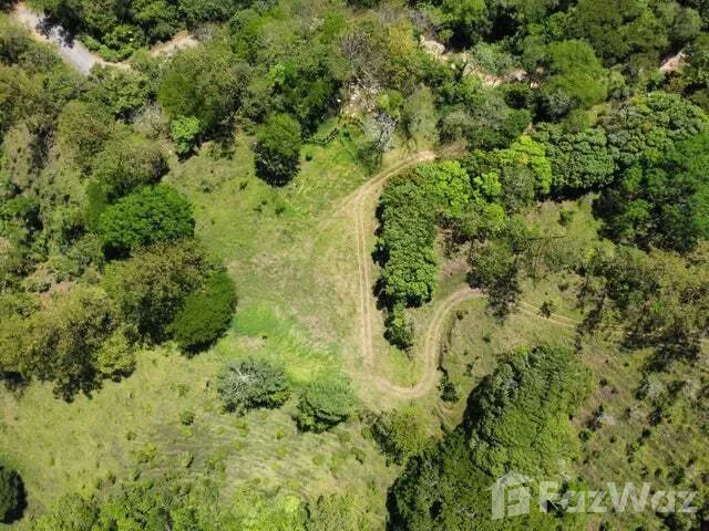 Land for Sale at Villa Colon for $5,500,000