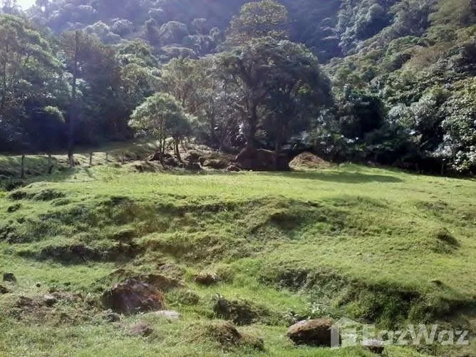 Land for Sale in Vasquez De Coronado, San Jose for $145,000 — photo 2