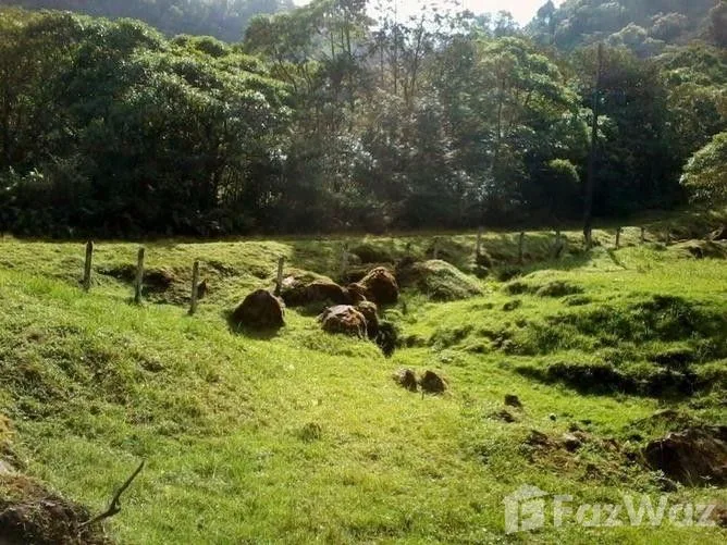 Land for Sale in Vasquez De Coronado, San Jose for $145,000 — photo 3