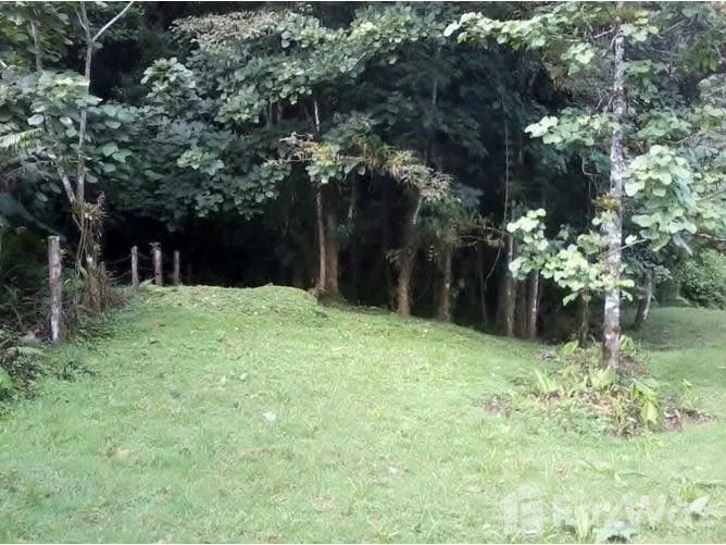 Land for Sale in Vasquez De Coronado, San Jose for $145,000 — photo 4